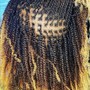 Individual Braids