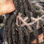 Starter Locs