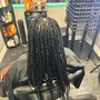 Medium Box Braids over locs