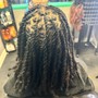 Medium Goddess locs(mid-back)