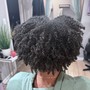 Root Touch Up