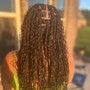 Starter Locs (Two Strands)