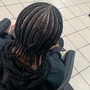 Two Strand Twist