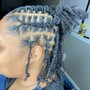 Two strand twist/rope twists Loc Style