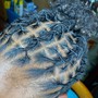 Extended CUBAN OR SPRING TWISTS over locs Midback