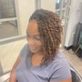 Faux locs crochet individual