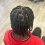 Two Strand Twists