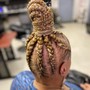 Feeder braids pony tail