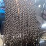 Senegalese Twist