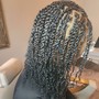 Senegalese Twist Jumbo