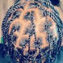 Poetic Justice Braids