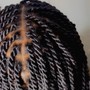 Small Kinky Twist