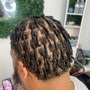 Starter Dreadlocks