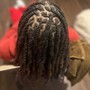 Full head Adult Retwist & Style