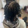 Starter Locs (two strands)