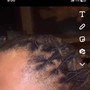 Starter Locs