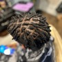 Starter Dreadlocks