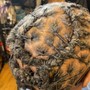 Starter Locs