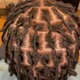 Starter Locs