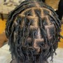 Starter Locs