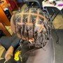 Starter locs (two strands)