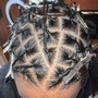 Starter Locs