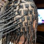 Starter Locs