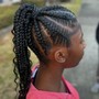 Braided ponytail