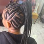 Feed in Braids (with hair)