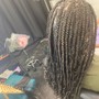 Box Braids