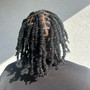 Loc Retwist