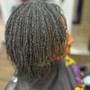 Micro Locs twist/no hair added