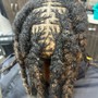 Micro Locs twist/no hair added