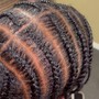 Box Braids (natural hair/ men)