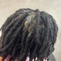 Butterfly Locs Mid Back