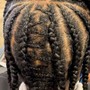 Starter locs