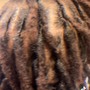 Starter locs