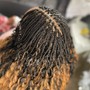 Small Invisible Locs/Twist