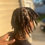 Comb Twist (starter locs