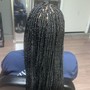 Havana Twists