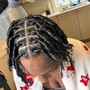 Starter Locs