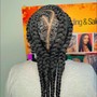 Tree Braids