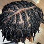 Starter Locs