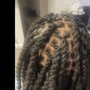 Insta locs (short hair)