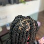 Starter traditional locs