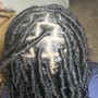 Micro/Sister starter locs