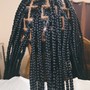 Fulani Braids ($220)