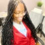 Passion Twists (med-large)