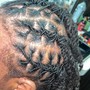 Top braided & Back individuals