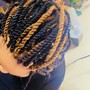 Havana Twists